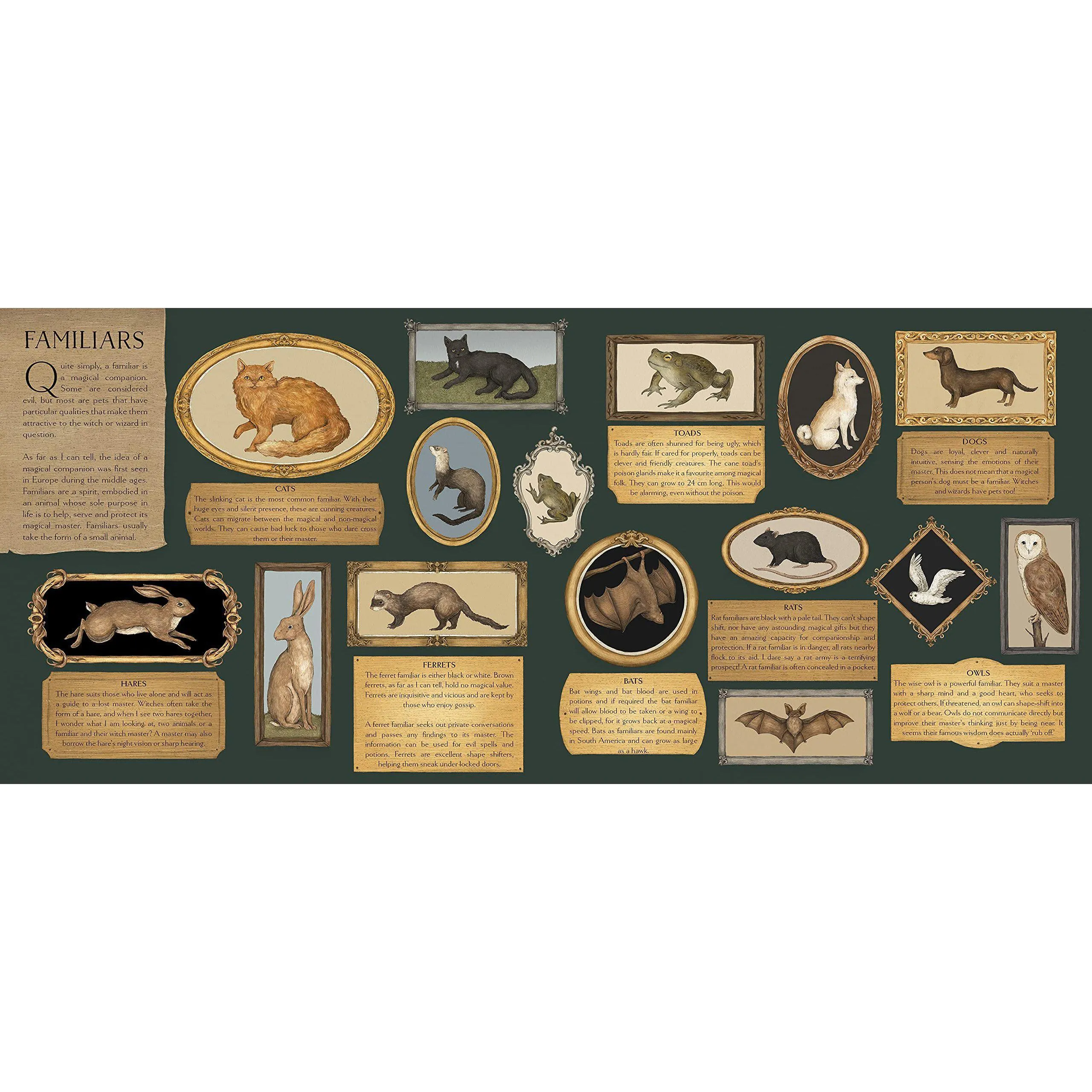 A Natural History of Magick - Poppy David