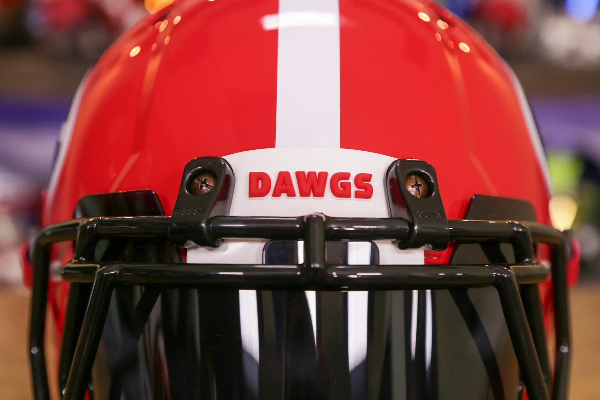 Georgia Bulldogs Riddell Speed Authentic Helmet - GG Edition 00305