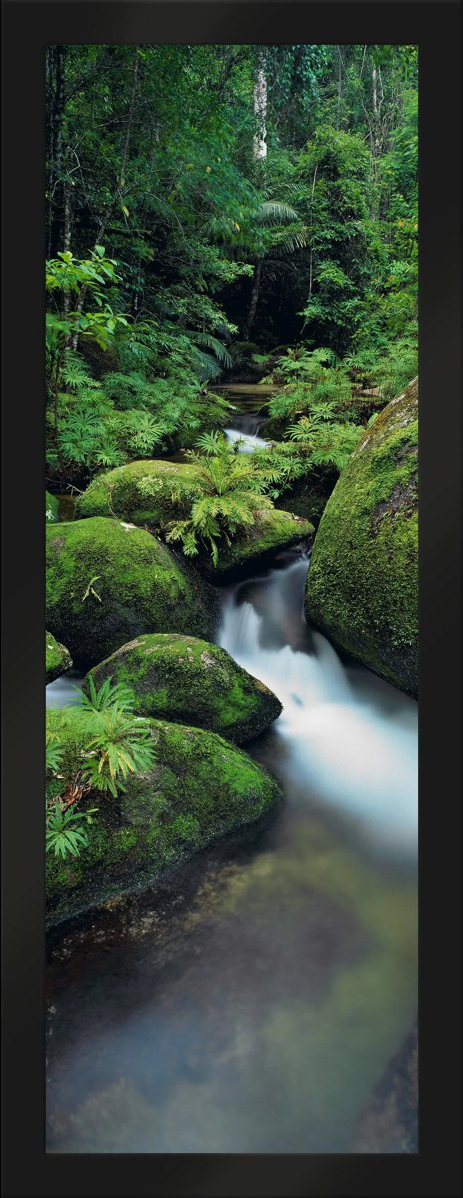 Hidden Falls
