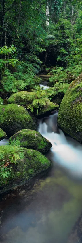 Hidden Falls