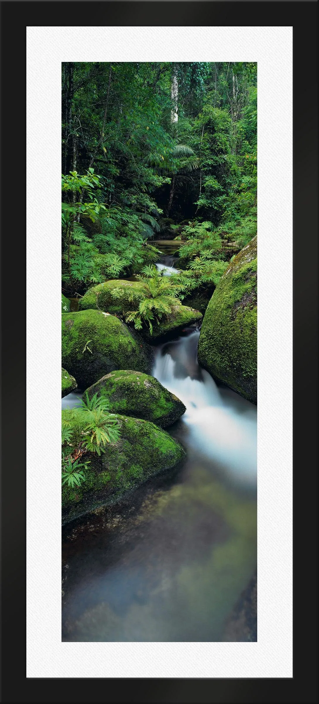 Hidden Falls