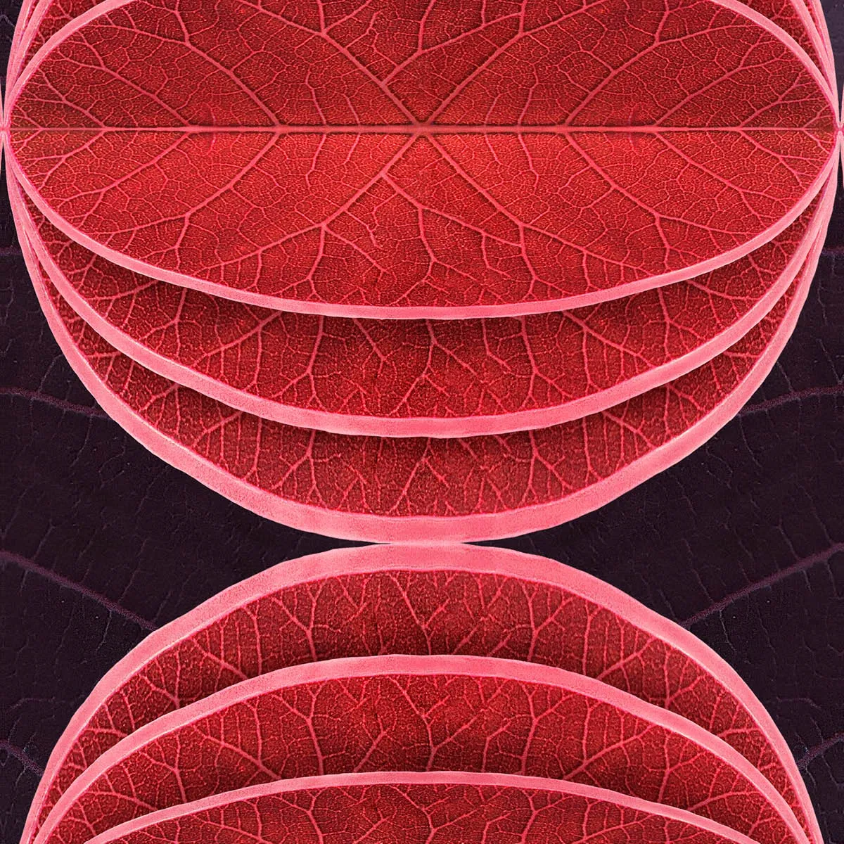 Hidden Fruits Wallpaper