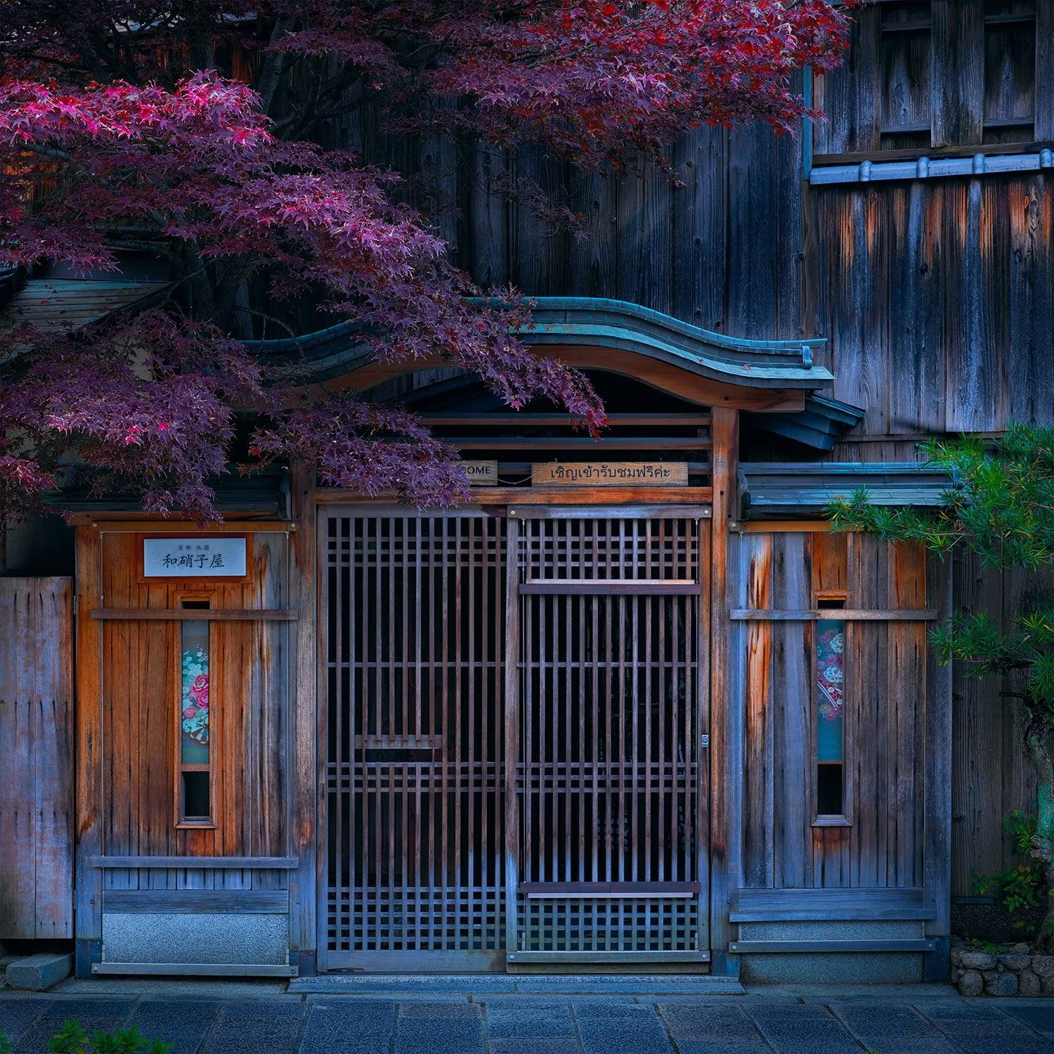 Hidden World