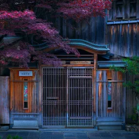 Hidden World