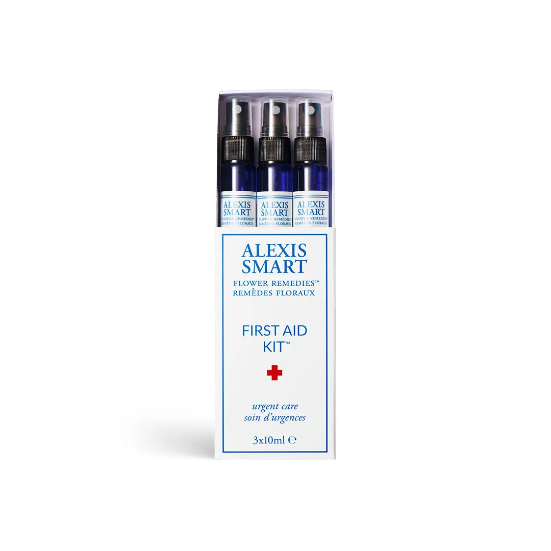 Mini First Aid Kit