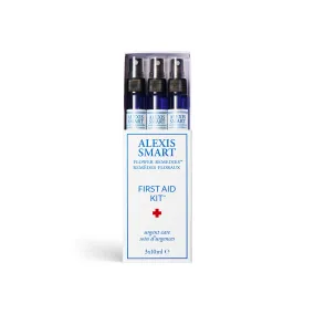 Mini First Aid Kit